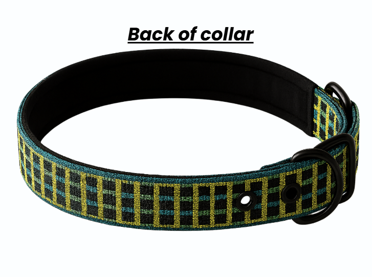 MetaPets Glow Safety Collar for Keeping Your Pet Seen and Safe