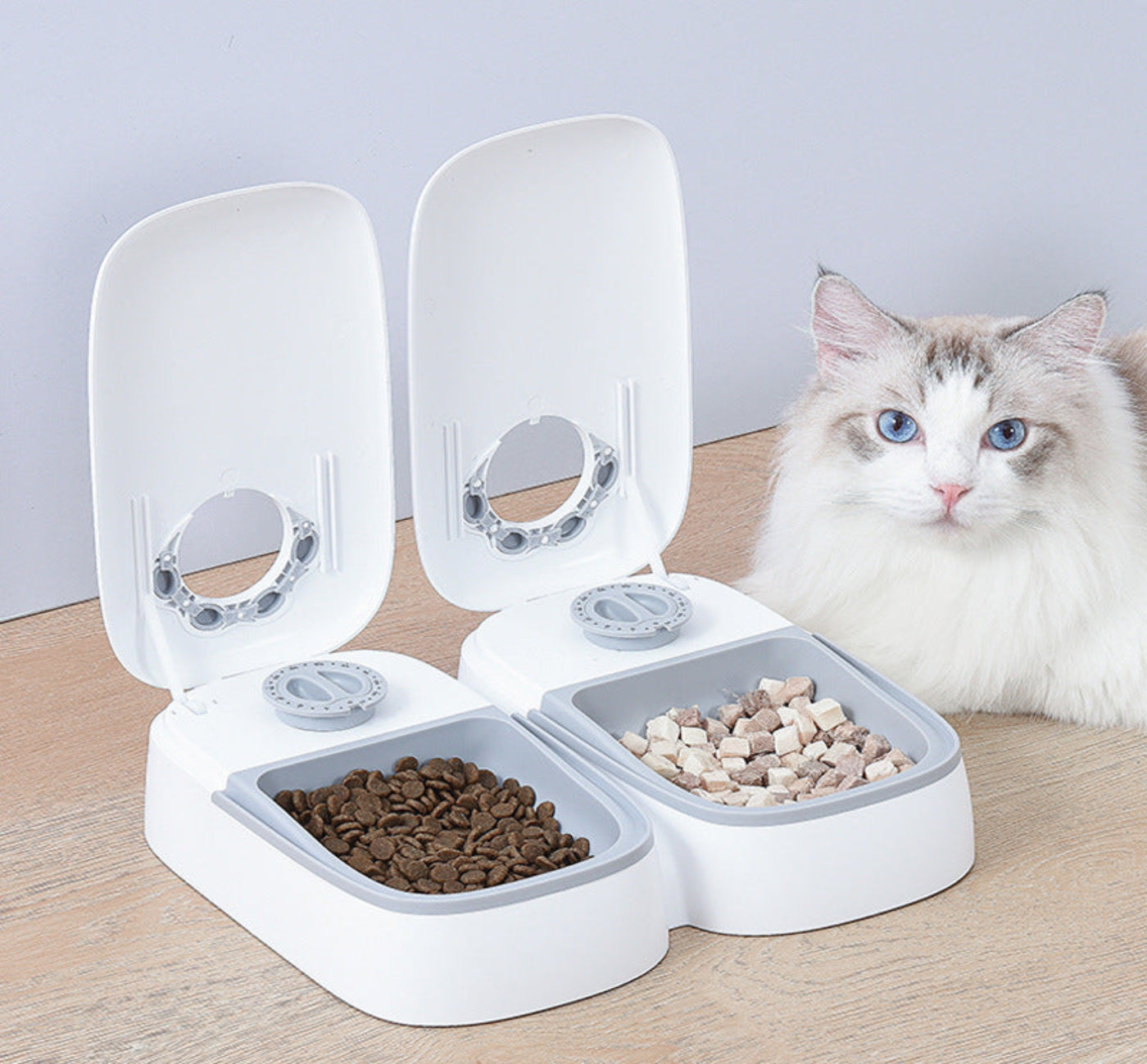 MetaFeast – Dual-Timer Luxury Feeder for Pets