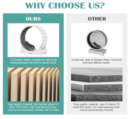 MetaPets Motion: The Purr-fect Workout!