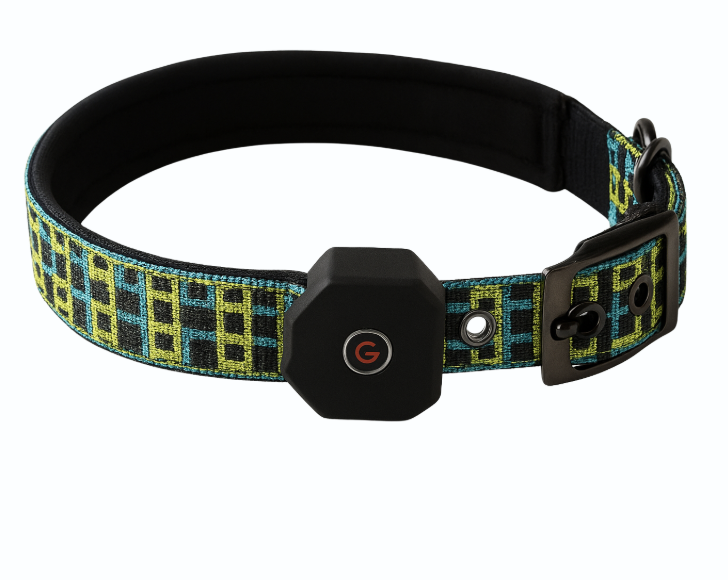 MetaPets Glow Safety Collar for Keeping Your Pet Seen and Safe