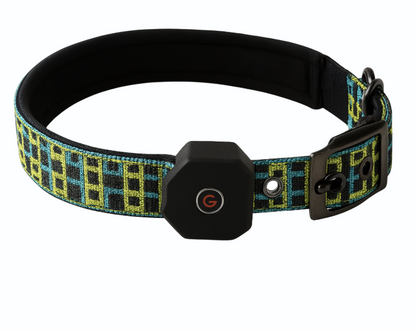 MetaPets Glow Safety Collar for Keeping Your Pet Seen and Safe
