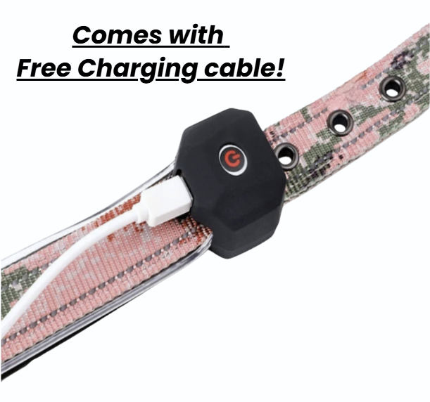 MetaPets Glow Safety Collar for Keeping Your Pet Seen and Safe