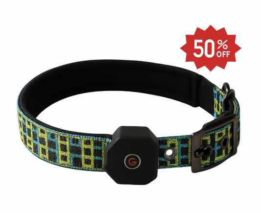 MetaPets Glow Safety Collar for Keeping Your Pet Seen and Safe