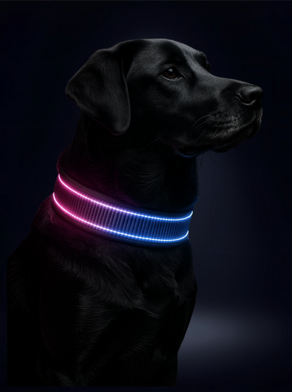 MetaPets Glow Safety Collar for Keeping Your Pet Seen and Safe