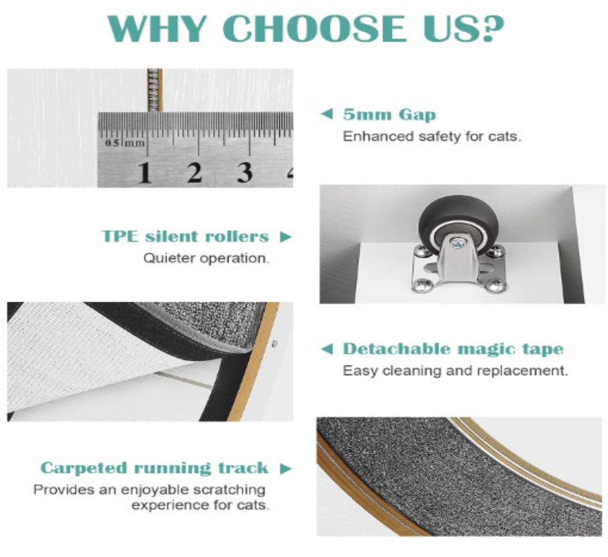 MetaPets Motion: The Purr-fect Workout!