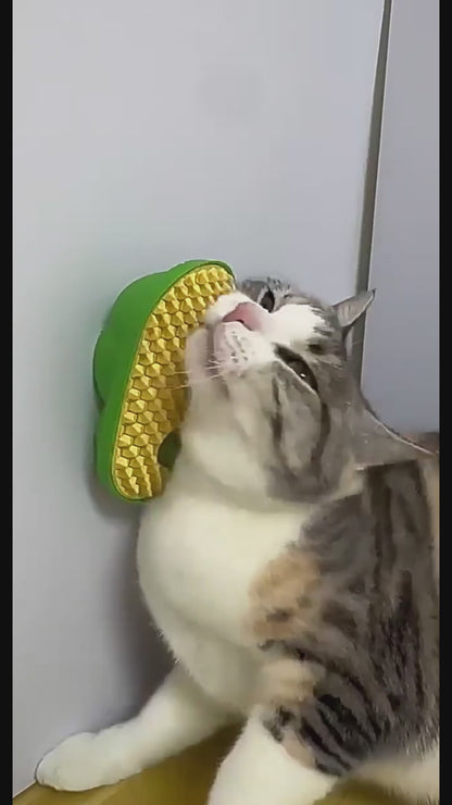 The ultimate Self-Grooming Scratch Pad